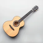 10 String Guitar