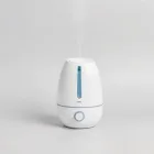 HealthHub Humidifier