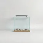 Aquarium Background Option