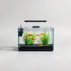 Aquarium Fish Hatchery