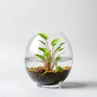 Acrylic Aquatic Plant Holder