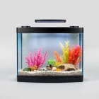 Aquarium Background Pictures
