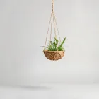 Floating Plant Baskets