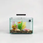 Fish Tank Background Film