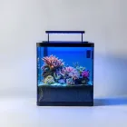 Coral Reef Aquarium Kit