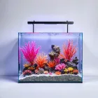 Aquarium Background - Underwater Scene