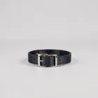 Adjustable Dog Collar