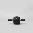 Alderton Essential Ab Roller — 4kg