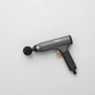 Alderton Select Massage Gun — 4kg