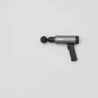 Alderton Premier Massage Gun — 4kg