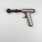 Alderton Heritage Massage Gun — 4kg
