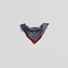 Artistic Printed Bandana