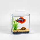 Betta Fish Habitat Kit