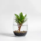 Aquarium Plant Container