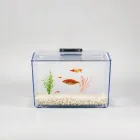Fish Breeding Box