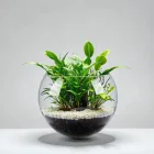 Aquarium Floating Plant Basket
