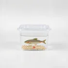 Fish Hatchery Kit
