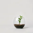 Aquarium Plant Pot