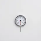 Aquarium Thermometer