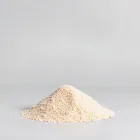 Marine Coral Sand
