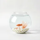 Fish Bowl Decor