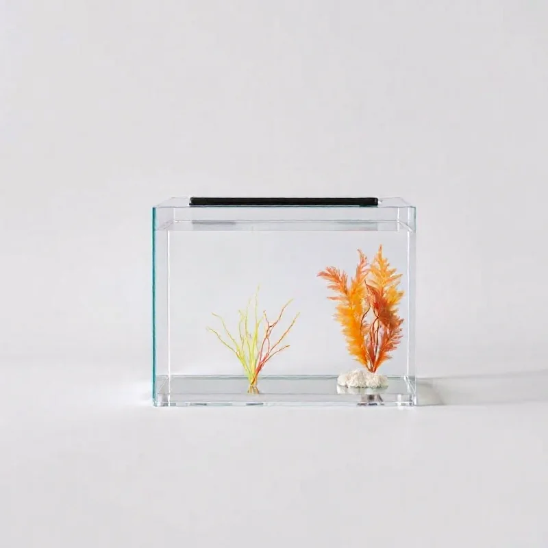 Acrylic Fish Tank