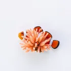 Aquarium Clownfish Anemone