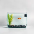 Fish Tank Background