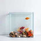Aquarium Background