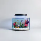 Aquarium Backgrounds