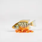 Aquarium Cichlid Food
