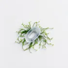 Aquarium Seaweed Clip
