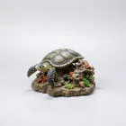 Aquarium Turtle Dock