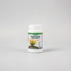 Plant Fertilizer for Aquariums