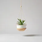 Floating Plant Basket