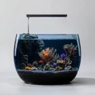 Aquarium Hideaway Spaces