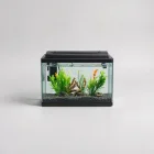 Deluxe Aquarium Starter Kit