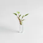 Aquarium Plant Clip