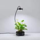 Aquarium Plant Light