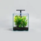 Aquarium Plant Kit