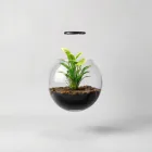 Aquarium Floating Plant Pot