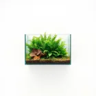 Aquarium Plant Substrate