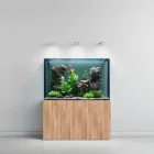 Aquarium Partition Wall