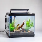 Aquarium Reptile Habitat Kit