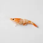 Aquarium Shrimp Food