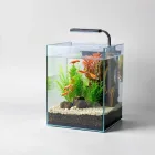 Aquarium Shrimp Habitat