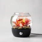 Fish Bowl Heater