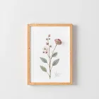 Framed Botanical Print