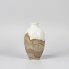 Ceramic Art Vase