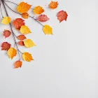 Seasonal Decor - Autumn Leaves